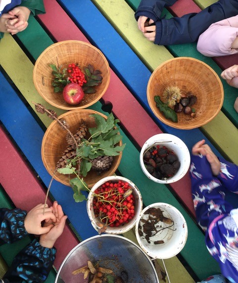 Sorting seeds