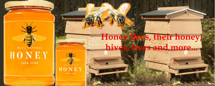 Honey Bees, Honey,  Hives, their Lives  and More - a u3a event with apiarist Alan Deeley 