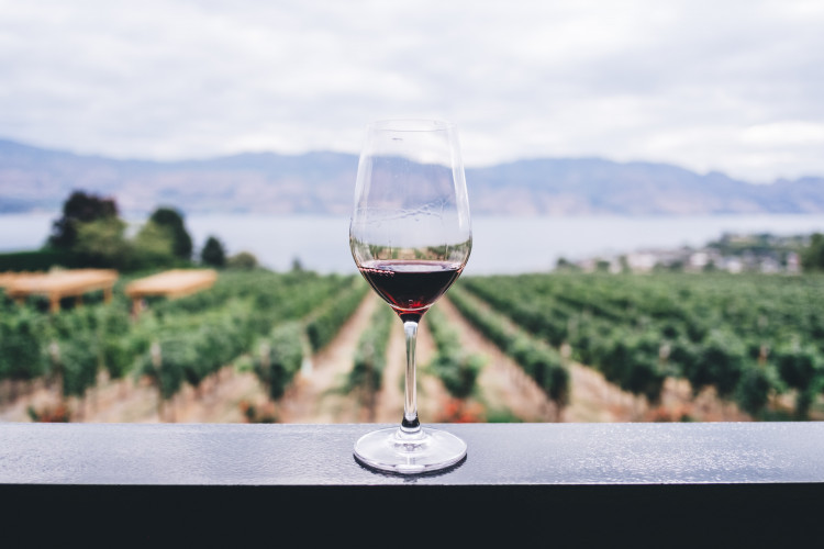 Support your local community at the Landmark Arts Centre's wine tasting fundraiser. (Photo: Kym Ellis/Unsplash)