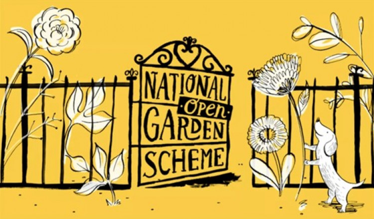 National Garden Scheme Open Day