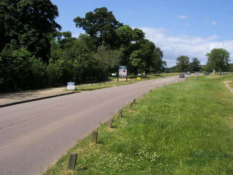 Queen's Road by Kingston Gate in Richmond Park (Image: Shaun Robertson)