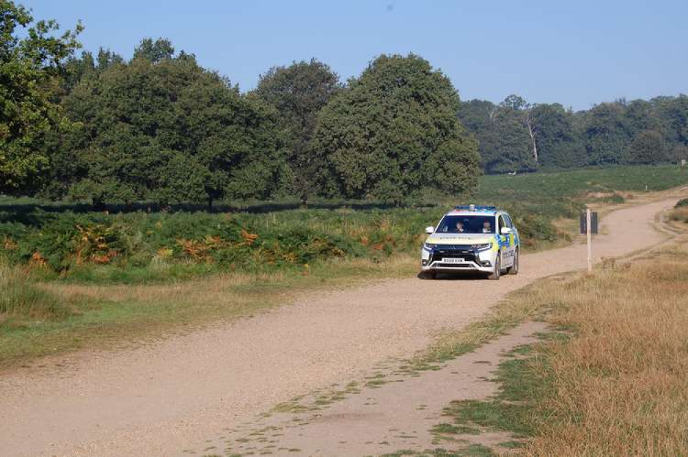 A deer has been put down after a dog attack in Richmond Park (Image: Royal Parks Police)