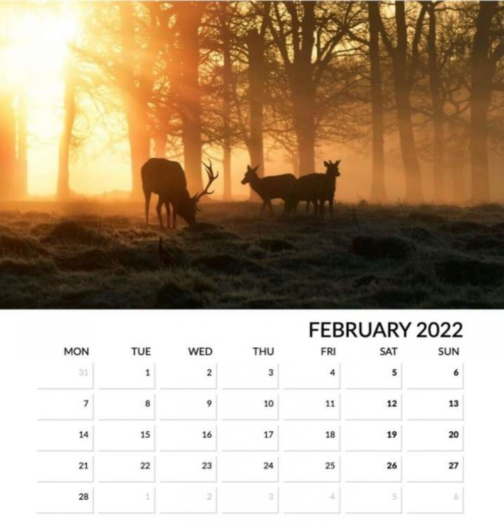 A stunning page from Astrid Tontson's new calendar, now available on eBay