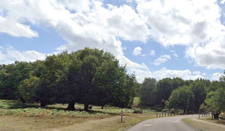 Richmond Park near Ham Gate, where the crash happened (Image: Royal Parks Police)