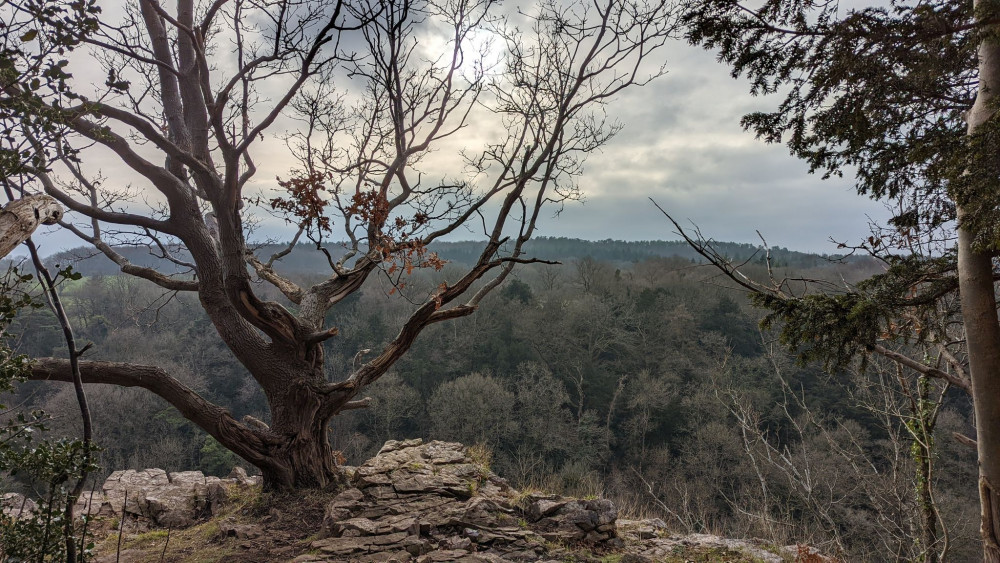 The best winter walks in Somerset 