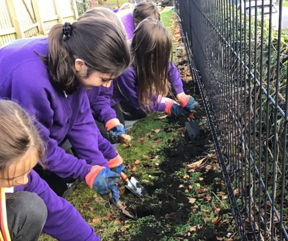 Leigh on Mendip pupils turn gardeners: a bloomin' good effort for spring! 