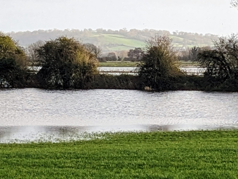 Plenty of water still on The Levels. Sunday December 10 photo Nub News