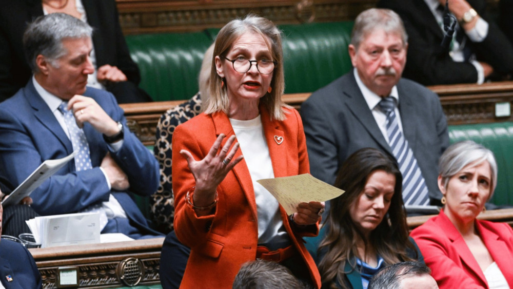 Bath MP Wera Hobhouse speaking in the House of Commons (Image: Office of Wera Hobhouse MP) -