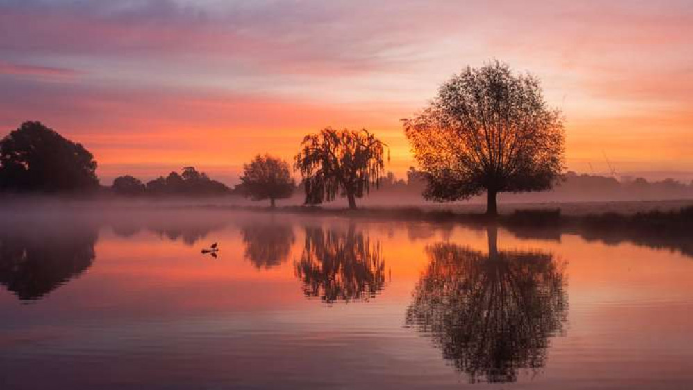 A stunning sunrise in Kingston's Bushy park yesterday - tag us in your photos @KingstonNubNews for the chance to be featured here (Image: Sue Lindenberg)