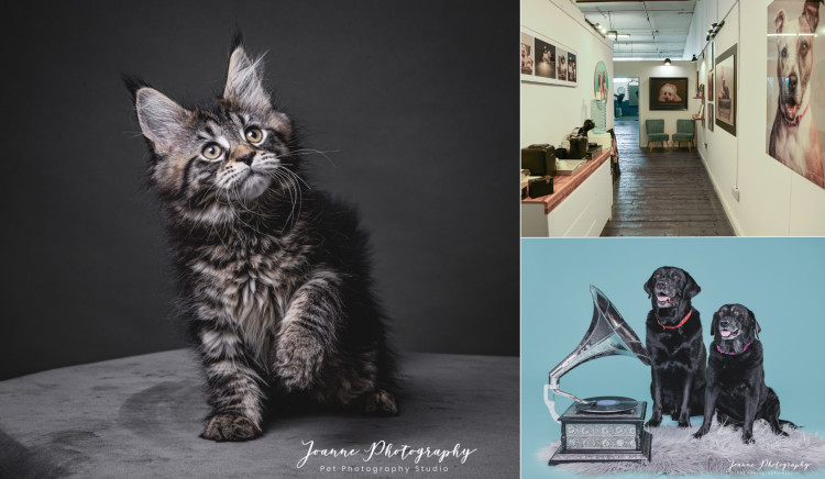 Joanne Photography, based in Goyt Mill, Marple, offers a range of photography services for pets of all shapes and sizes (Images - Joanne Photography)