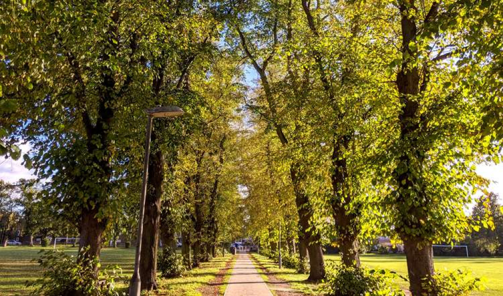 Kingston's Fairfield recreation ground (Image: Ellie Brown)