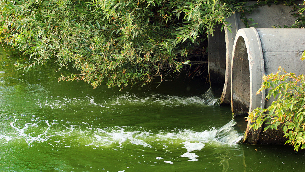  the Wookey Water Recycling Centre has reported 63 incidents of untreated sewage being released into the river, amounting to 1,106 hours of discharge. 