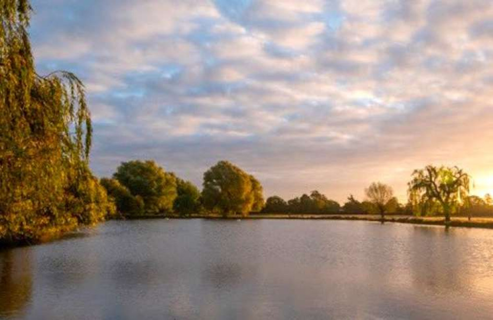 Kingston: Bushy Park's Leg of Mutton lake (Image: Sue Lindenberg)