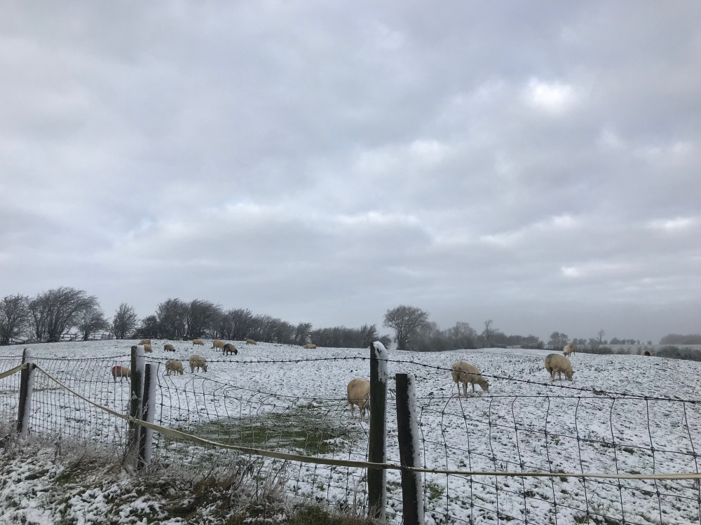 Rutland Climate Action is working hard over the festive season to set out aims and more for the New Year - to protect our climate, weather and more. Image credit: Nub News. 