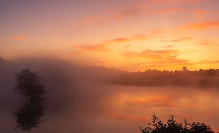 Morning mist in Richmond Park (Image: Sue Lindenberg)