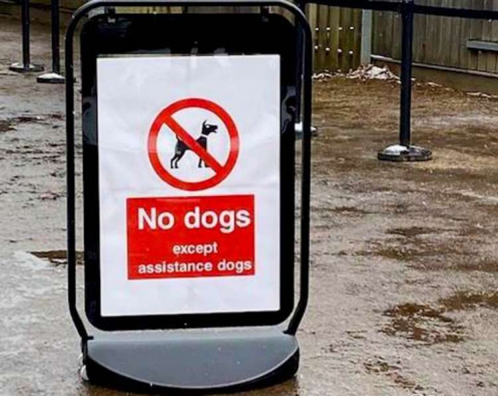 A "No Dogs" sign in Bushy Park (Image: Stuart Higgins)