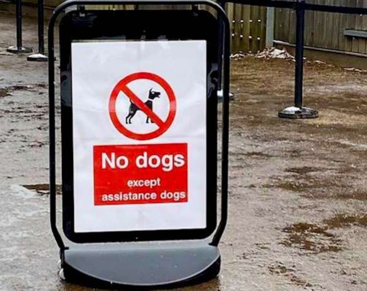 A "No Dogs" sign in Bushy Park (Image: Stuart Higgins)