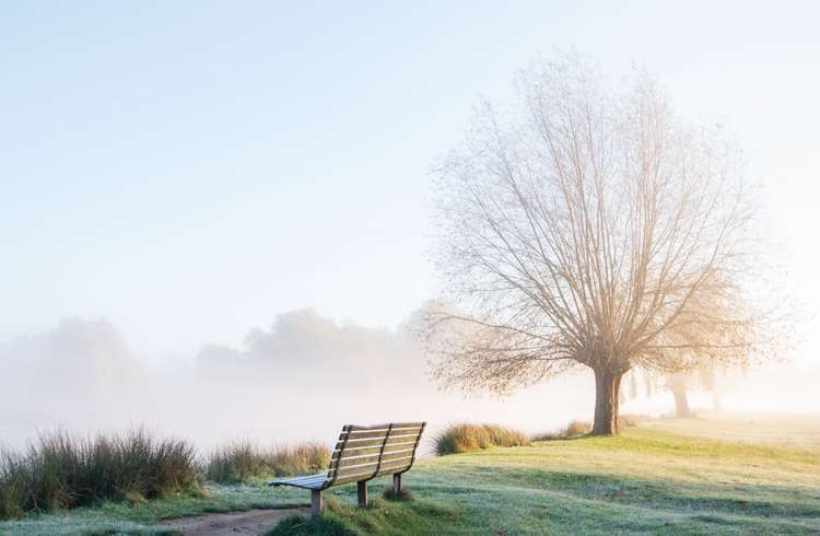 Kingston: The days are getting frostier - mist in Bushy Park yesterday (Image: Sue Lindenberg)