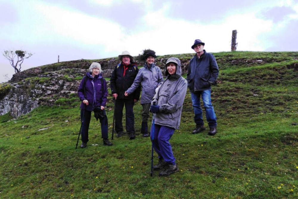 Walks are scheduled every Sunday in January