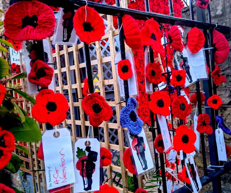 All 5,600 poppies will go on sale after Remembrance Sunday to raise funds for the Poppy Appeal (Image: Ellie Brown)