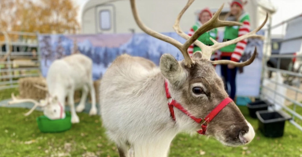 What's On in Letchworth this Christmas weekend: Santa Claus is coming to town and Reindeer in the Wynd 