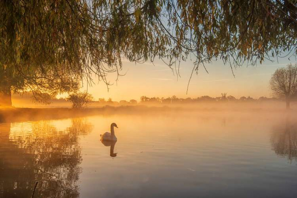 Kingston: A peaceful scene in Bushy Park (Image: Sue Lindenberg)