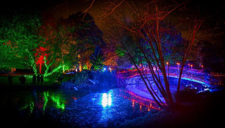 The magical Enchanted Woodland display (Image: Syon House)