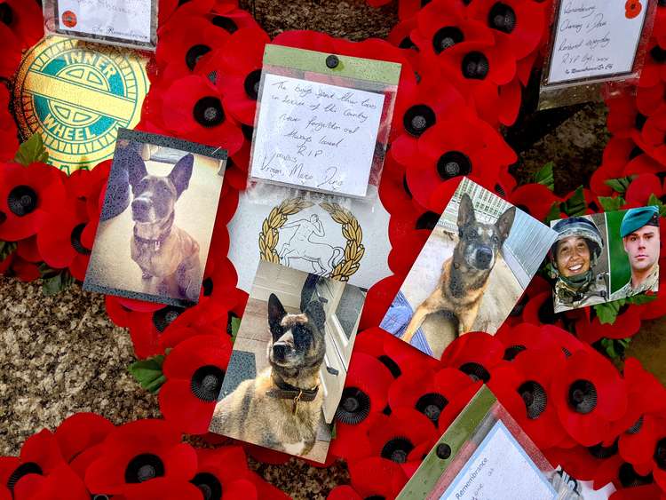 Angie's wreath with photos of other military working dogs including Vidar's brother Vroom who died two weeks ago (Photo: Angie McDonell)