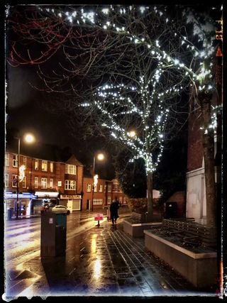 Some pretty lights on a rainy day! (Photo Credit: Ruths Pics).