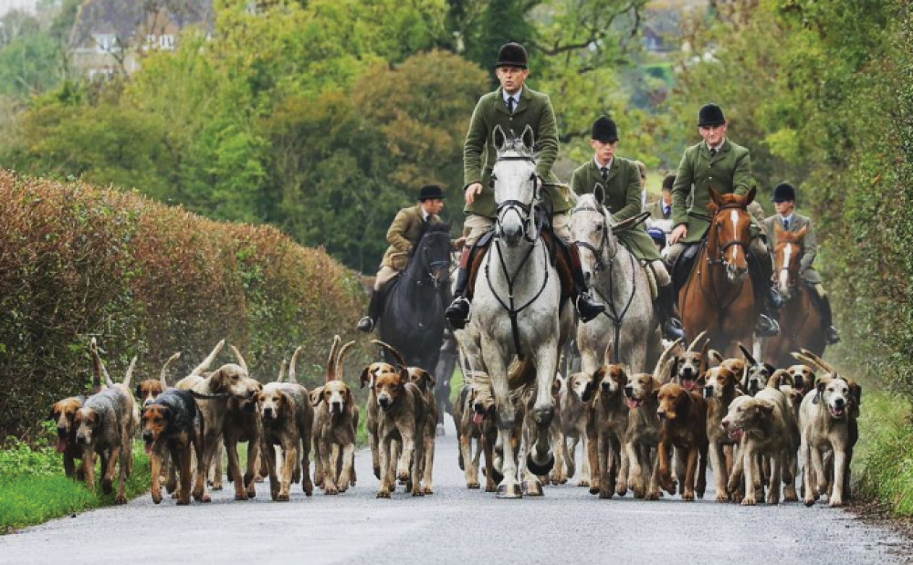 The Blackmore and Sparkford Vale hunt.