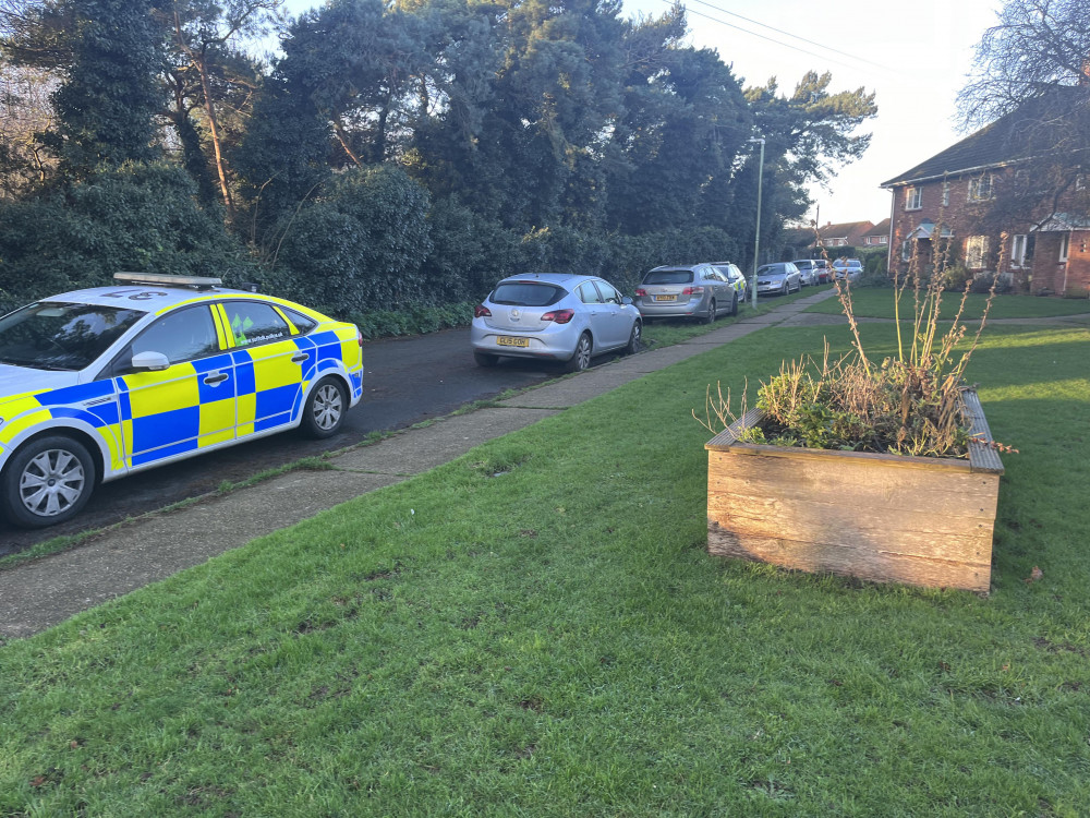 Police at Tudor Close, Shotley Gate on Boxing day, after dogs kill deer (Picture: Submitted) 