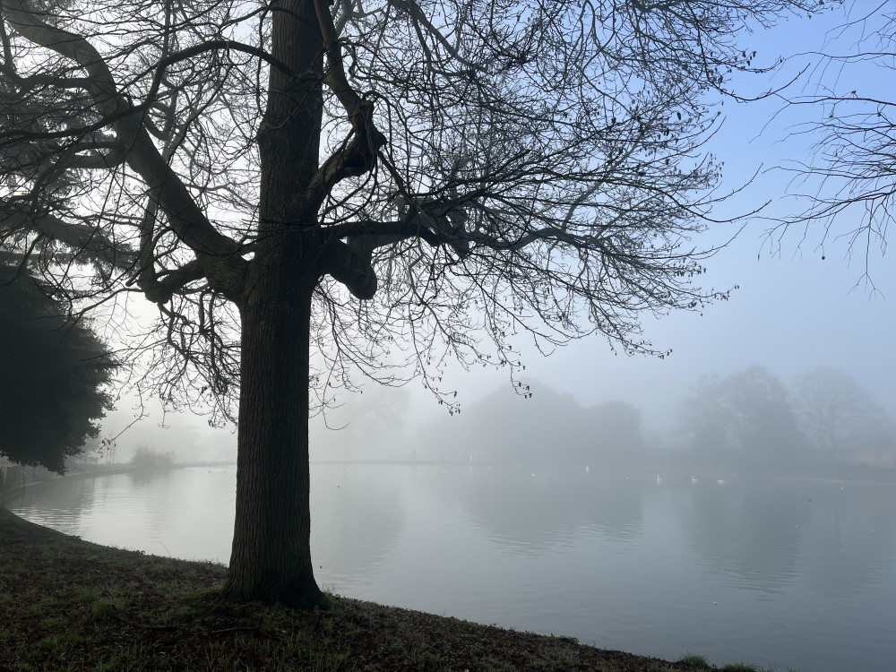 London and other parts of the UK face up to 80mph winds due to Storm Henk (credit: Gunnersbury Park Museum/ X).