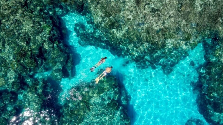 Great Barrier Reef. (Photo: Supplied)