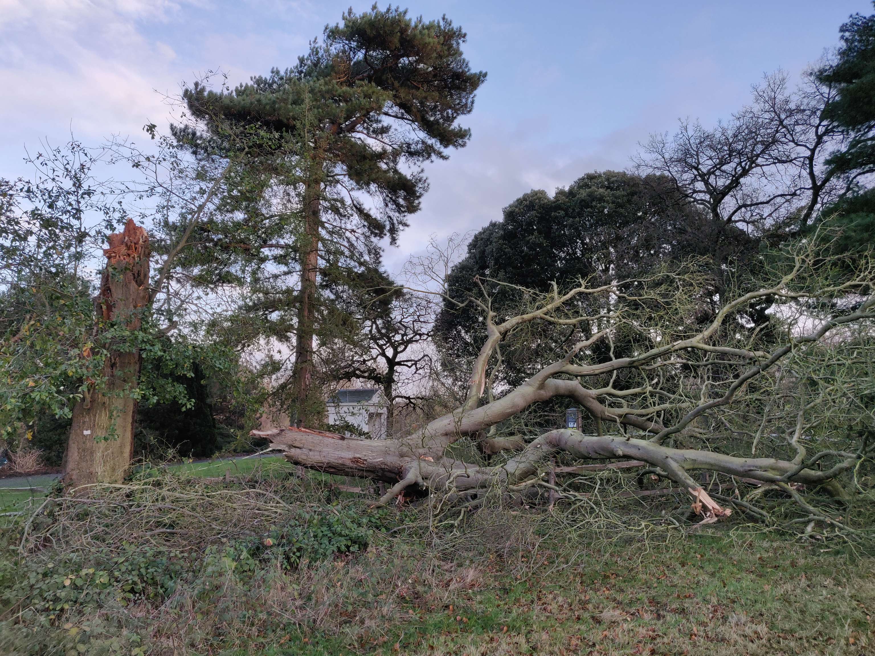 Kew Gardens was forced to close early yesterday due to Storm Henk. (Photo Credit: RBG Kew)