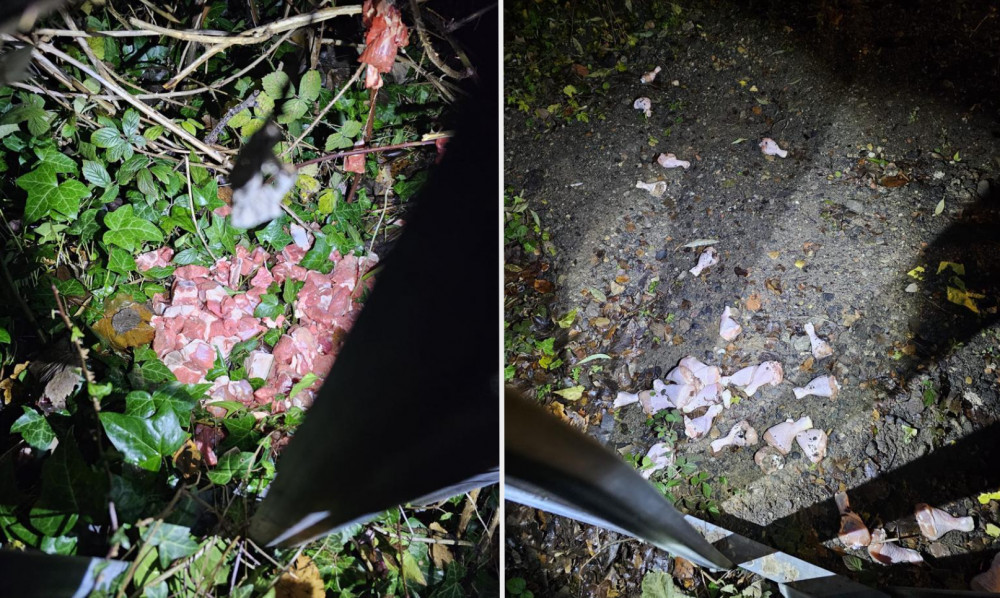 Piles of raw meat have been found around Reddish and Heaton Chapel / Heaton Moor (Images - Joanna Williams)