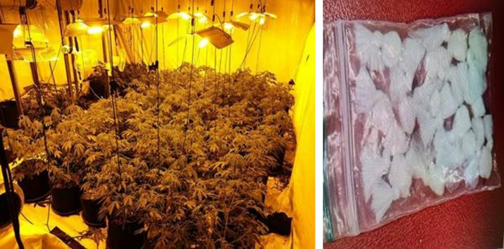 Police seized 79 cannabis plants and a large amount of class A drugs from a home in Tunstall yesterday (Staffordshire Police).