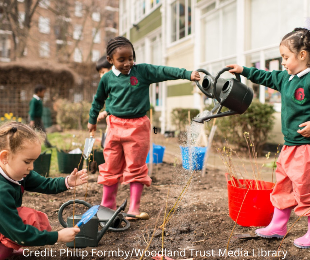 Trees on offer from the Woodland Trust (image Philip Formby/Woodland Trust Media Library)