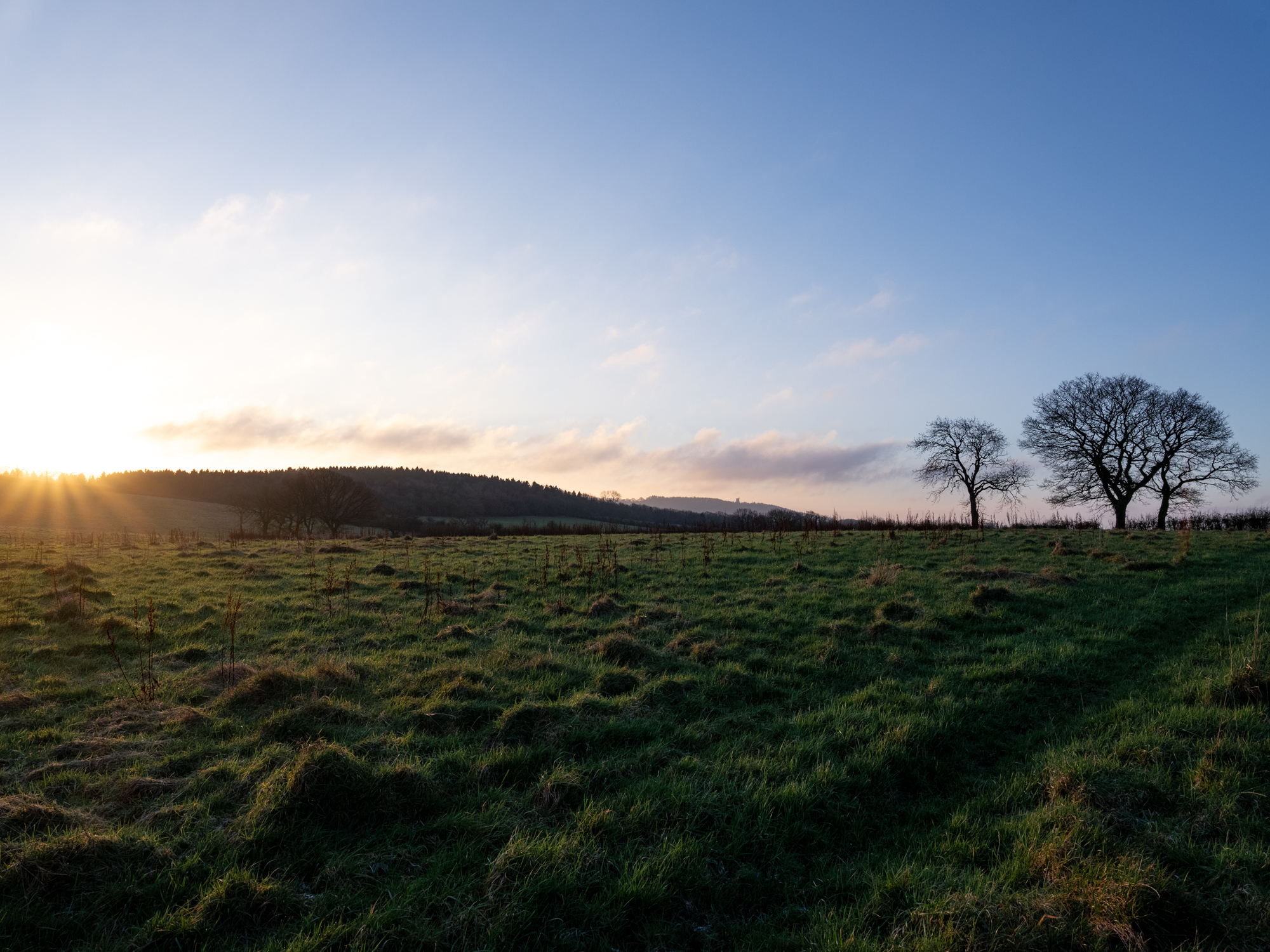 The Heal Somerset site, image Emma Lewis