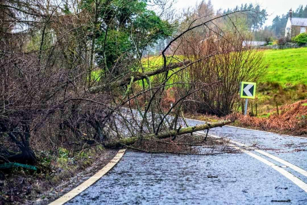 The Met Office has issued the yellow warning for Tuesday 23 January and Wednesday 24 January (Cheshire East Council).