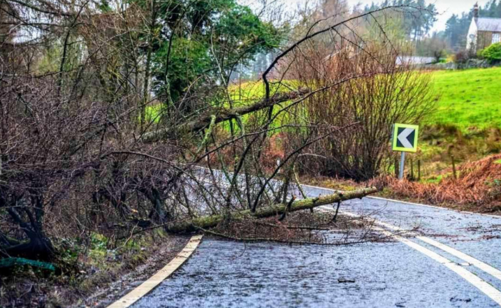 The UK is facing strong winds today (Tuesday 23 January), and Stockport is no exception, with local weather disruption expected to continue until Wednesday 24th (Image - CEC)