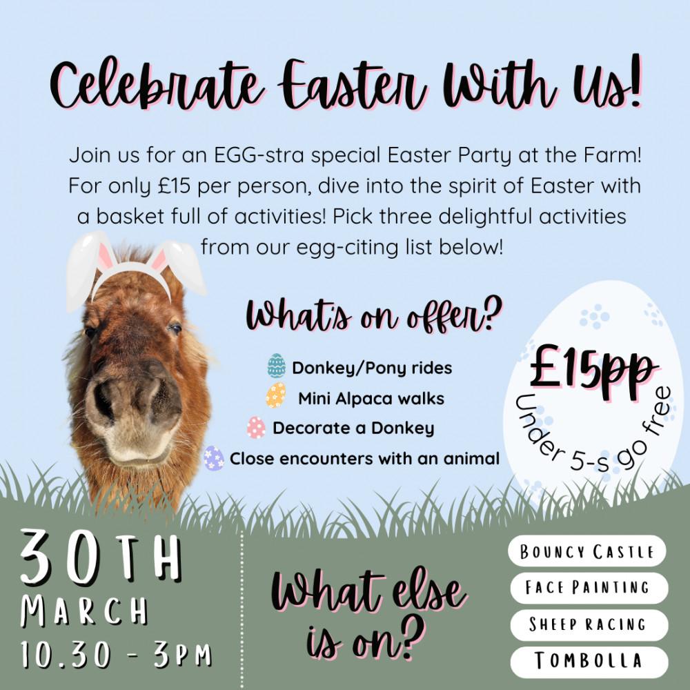 Easter Farm Party at Charnwood Forest Alpacas, Boundary, near Ashby de la Zouch