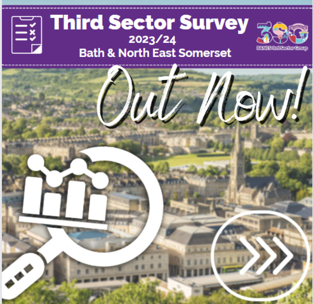 The survey's results are now out, image Bath and North East Somerset Third Sector Group 