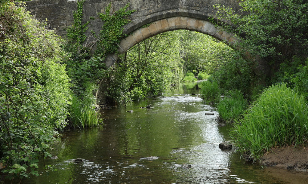 Bow Bridge is a 15th-century packhorse bridge over the River Brue in Bruton.