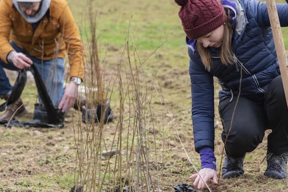 Opportunities include helping keep your favourite local walk clear from vegetation.