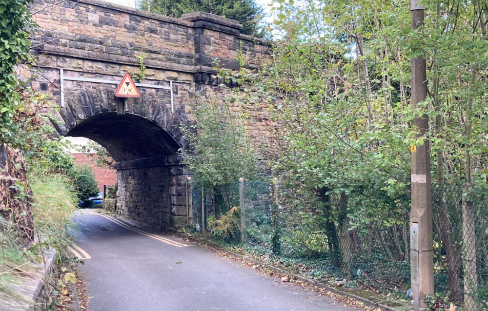 The dog was found near the Peak Forest Canal in Woodley on 1 February. Anybody with any information is encouraged to come forward [This story contains a distressing image] (Image - Alasdair Perry)