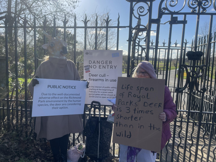 Activists protest Richmond Park deer cull. (Photo Credit: Heather Nicholls). 