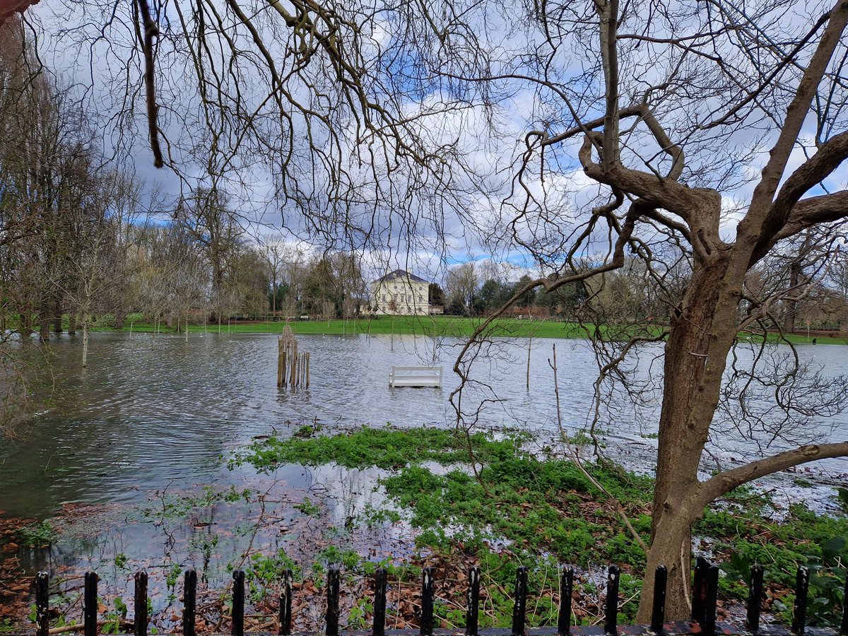 IN PHOTOS: Marble Hill Park 'turns into lake' following high tides in Twickenham. (Photo Credit: Cathy Cooper).