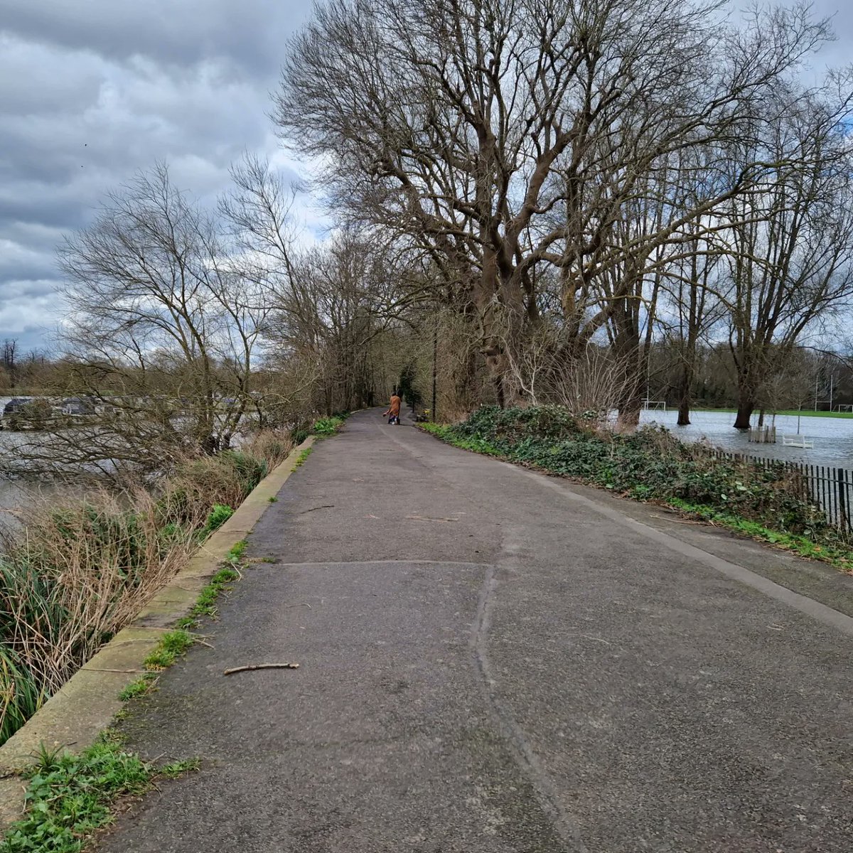 Both sides of the towpath covered in water. (Photo Credit: Cathy Cooper).