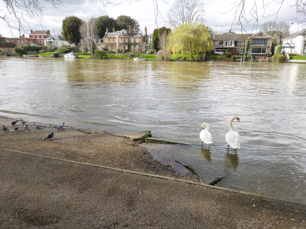 The Environment Agency has warned of possible property damage from flooding in areas west of Hampton Court (Photo: Oliver Monk)