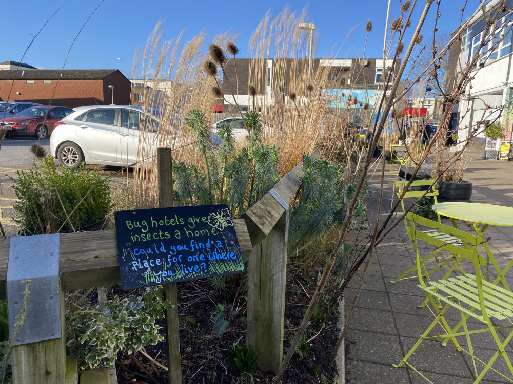 Friends of Talisman Square have been given until March to remove the planting in Talisman Square (image by James Smith)